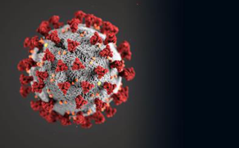 image of covid-10 virus
